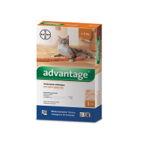 Advantage® Gatos