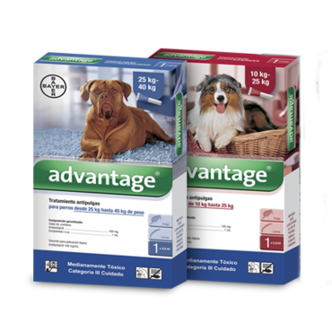 Advantage® Perros