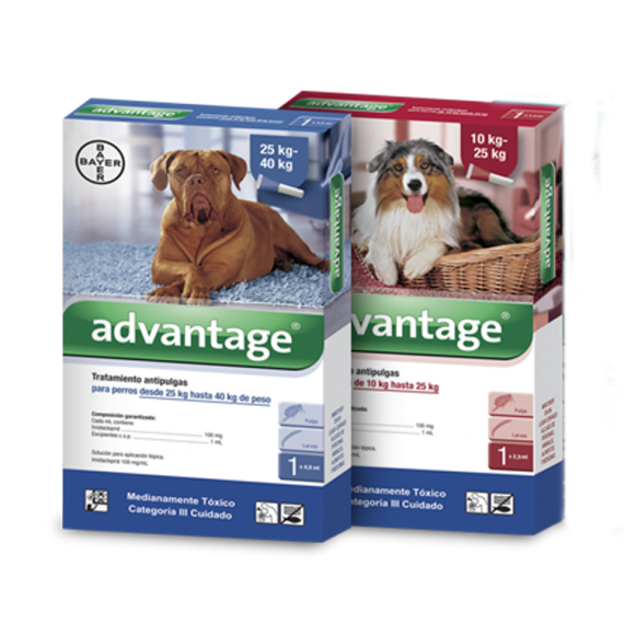 Advantage® Perros