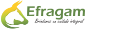 Efragam SAS